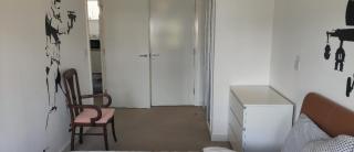 Cheerful house, private room and private shower/ toilet. comfortable king size mattress - Colchester - 3