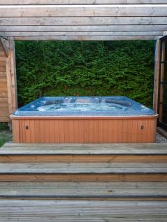 Luxurious Family Villa with sauna big garden and jacuzzi - Zeewolde - 4
