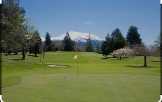 Methven Retreat - Methven - 1