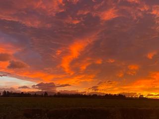 Methven Retreat - Methven - 3