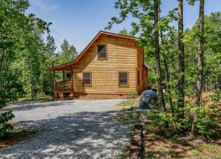 NEW Tryon Cabin by TIEC in Green River Highlands - 1