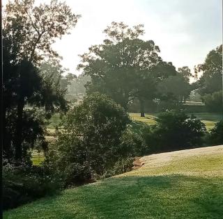 Garden Suite, self contained, Hunter Valley - 9
