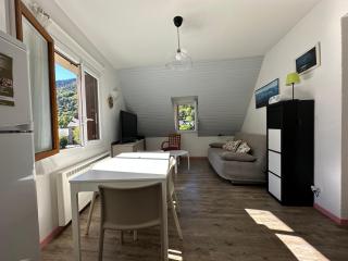 Appartement Bordères-Louron 3 à 5 personnes 3 étoiles, proche Loudenvielle - Bordères-Louron - 9