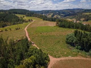 Guariliwe Ecolodge and Wines - Coelemu - 3