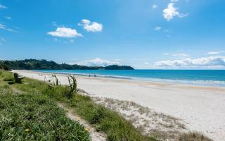 Onetangi Beach Stays Studio 2 - Coast & Country - 5
