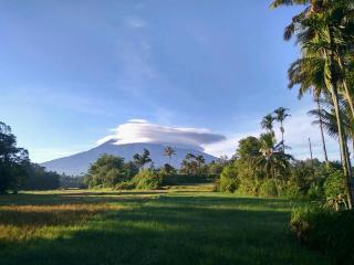 Inyiak Aguang Homestay - Bukittinggi - 6