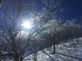 the Kinta Naeba - Yuzawa - 4