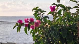 White Sunset - Votre appartement pieds dans l'eau - Trois Bassins - 0