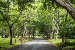 Khao Yai Log House - Pak Chong - 6