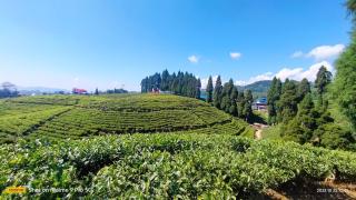 Holidays homestay - 1
