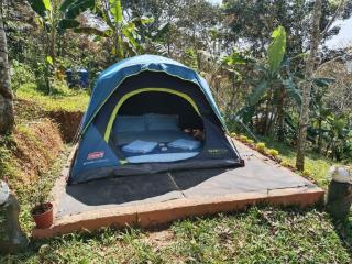 Agronest Farm & Resort By Teal Luxury Stay - Wayanad - 6
