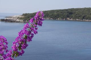 "Azzurra Apartments - Molunat - 8
