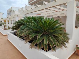 Spacious and luxurious apartment - Mojácar - 9