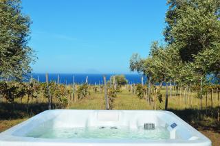 Tenuta Rasocolmo - Mesina - 9