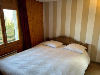 Les Trembles MOUNTAIN & QUIET chalet 12 pers - Veysonnaz - 1