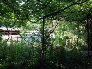 Guest House Besarioni - 5