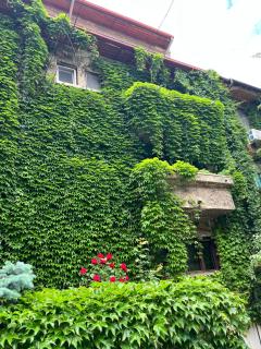 Studio Villa Floreasca - Bucharest - 9