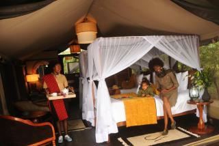Castel Mara Camp - Masai Mara - 2