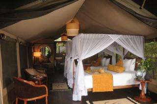 Castel Mara Camp - Masai Mara - 1