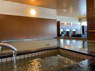 Bayside Hotel Azur Takeshiba - Tokyo - 1