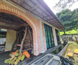 Jack's Orchard Home - 4