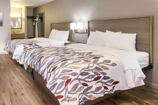 Baymont by Wyndham Socorro - Socorro - 4
