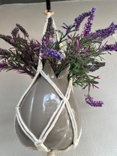 Camelia 2 Beautiful 1+1 on Cleopatra - 1