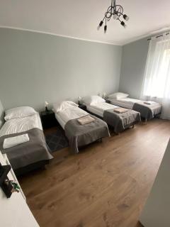 Villa Rosa - Poznań - 6
