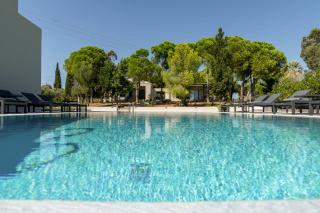 Alekos Beach Houses-Akrotiri Suites - Kounopetra - 9