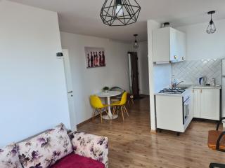 Luxury Apartments Mall Area - Bacău - 8