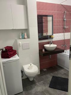 VivamusApartmentsBV - Brasov - 9