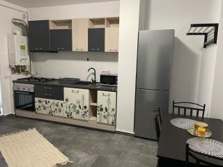 VivamusApartmentsBV - Brasov - 4