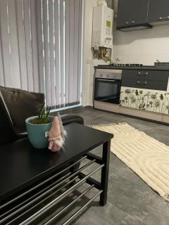 VivamusApartmentsBV - Brasov - 1