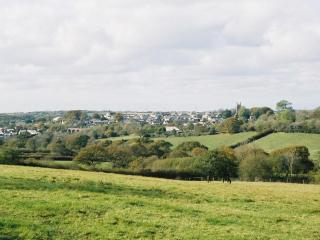 Holsworthy Holiday Cottages - 4