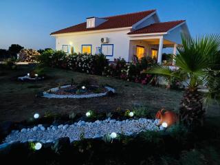 Quinta Da Amoreira - Ferreira do Alentejo - 5