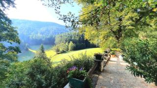 LANDSITZ OBERHOF petit hôtel - Muggendorf - 7