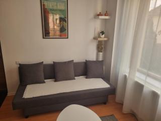 Flower Inn - apartament 2 - Cluj-Napoca - 7
