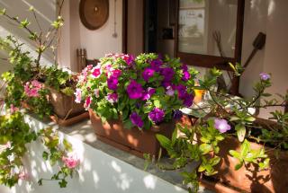 B&B Martina - San Vito - 6