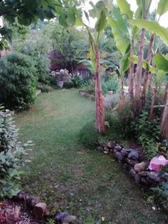 Maison de famille à Périgueux - Périgueux - 3