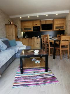 Duplex Les 2 Alpes avec accès direct aux pistes - Les Deux Alpes - 8
