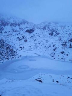 Studio pour amoureux de la nature et des animaux - Auriébat - 3