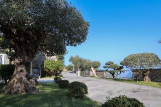 Villa Italia Sorrento - Termini - 0