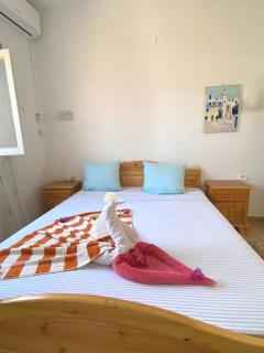 Maison Les Oliviers avec piscine proche du lagon - Djerba - 6