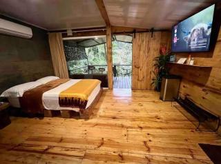 Sweet Jungle - Quesada - 8