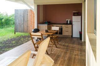 Studio : Écaille de tortue - 7