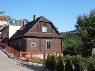 Apartament Słoneczny - Krynica Zdrój - 9