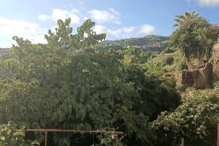 Casa Bela Vista Studio 2 - Ribeira Brava - 6