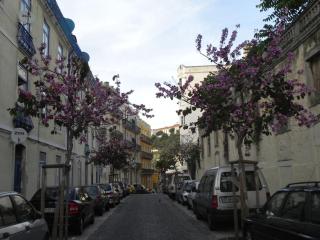 Apartament TO+1 dowtown Lisbon - Lissabon - 7