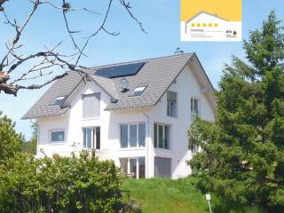 Ferienwohnung Schwarzwald-Alpenblick - Lenzkirch - 0