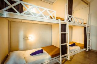 The Commotion Canggu - Canggu - 5